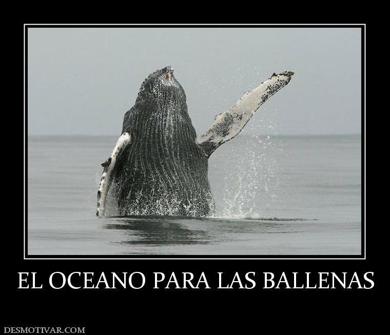 EL OCEANO PARA LAS BALLENAS