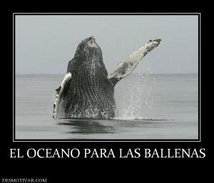 EL OCEANO PARA LAS BALLENAS
