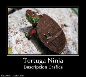 Tortuga Ninja Descripcion Grafica