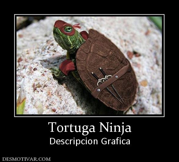 Tortuga Ninja Descripcion Grafica