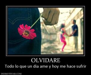 OLVIDARE Todo lo que un día ame y hoy me hace sufrir