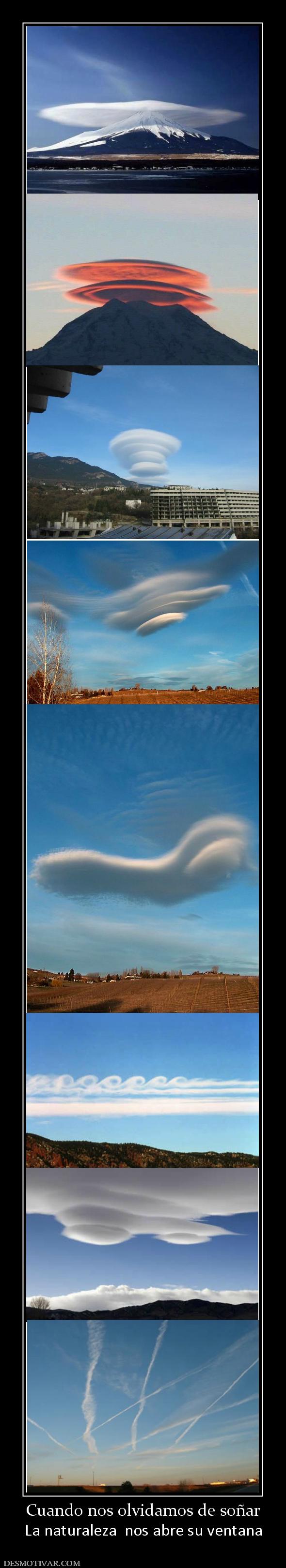 Cuando nos olvidamos de soñar La naturaleza  nos abre su ventana