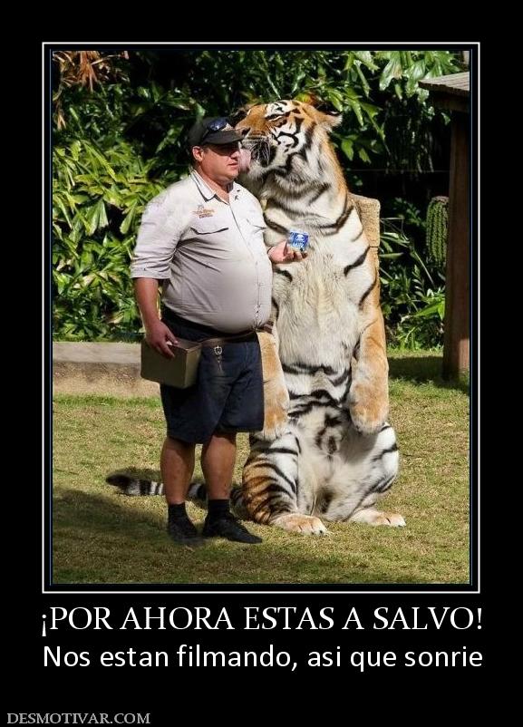 ¡POR AHORA ESTAS A SALVO! Nos estan filmando, asi que sonrie