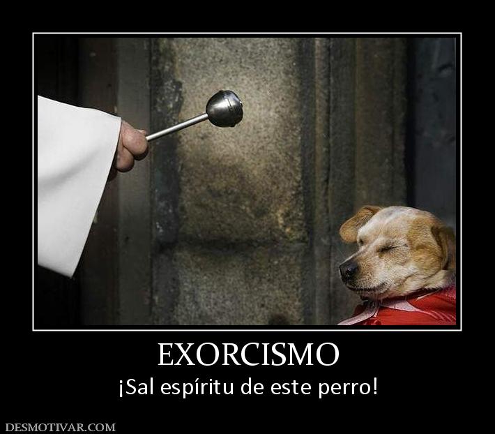 EXORCISMO ¡Sal espíritu de este perro!