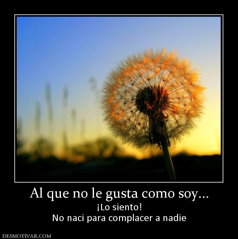 Al que no le gusta como soy... ¡Lo siento! No naci para complacer a nadie