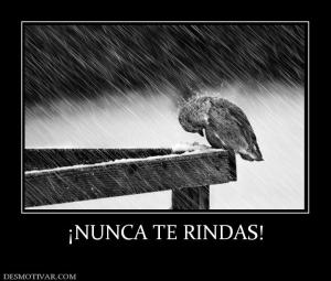 ¡NUNCA TE RINDAS!
