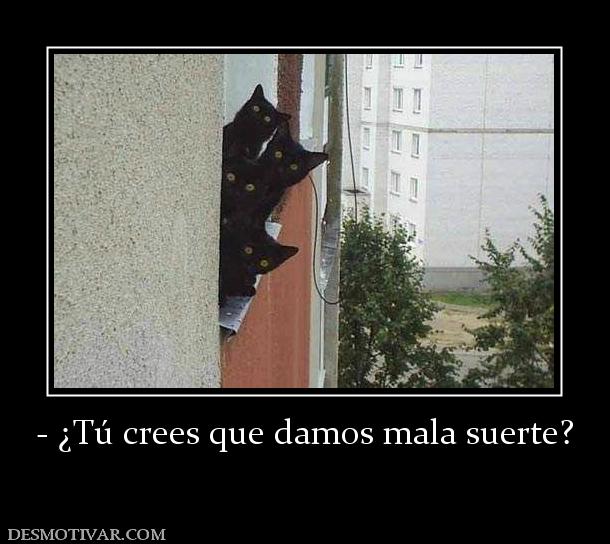 - ¿Tú crees que damos mala suerte?