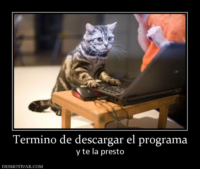 Termino de descargar el programa y te la presto