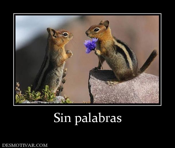 Sin palabras