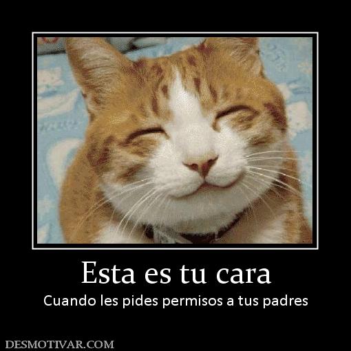 Esta es tu cara Cuando les pides permisos a tus padres