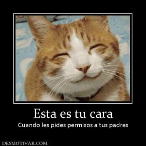 Esta es tu cara Cuando les pides permisos a tus padres