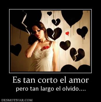Es tan corto el amor pero tan largo el olvido....