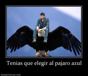 Tenias que elegir al pajaro azul