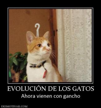 EVOLUCIÓN DE LOS GATOS Ahora vienen con gancho