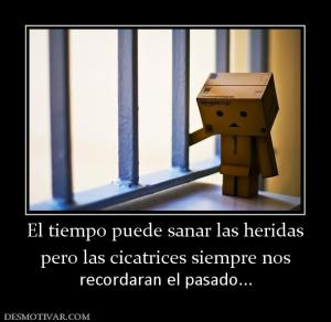 El tiempo puede sanar las heridas pero las cicatrices siempre nos  recordaran el pasado...