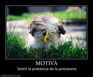 MOTIVA Sentir la presencia de la primavera