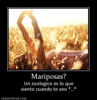 Mariposas? Un zoologico es lo que siento cuando te veo *..*