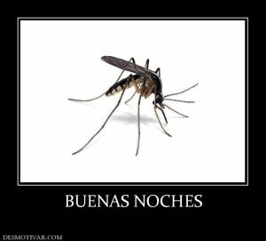 BUENAS NOCHES