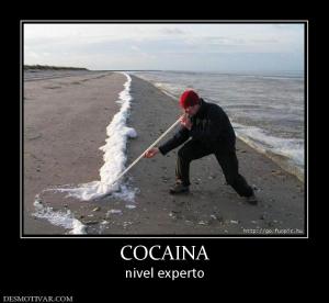 COCAINA nivel experto