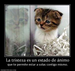 La tristeza es un estado de ánimo que te permite estar a solas contigo mismo.
