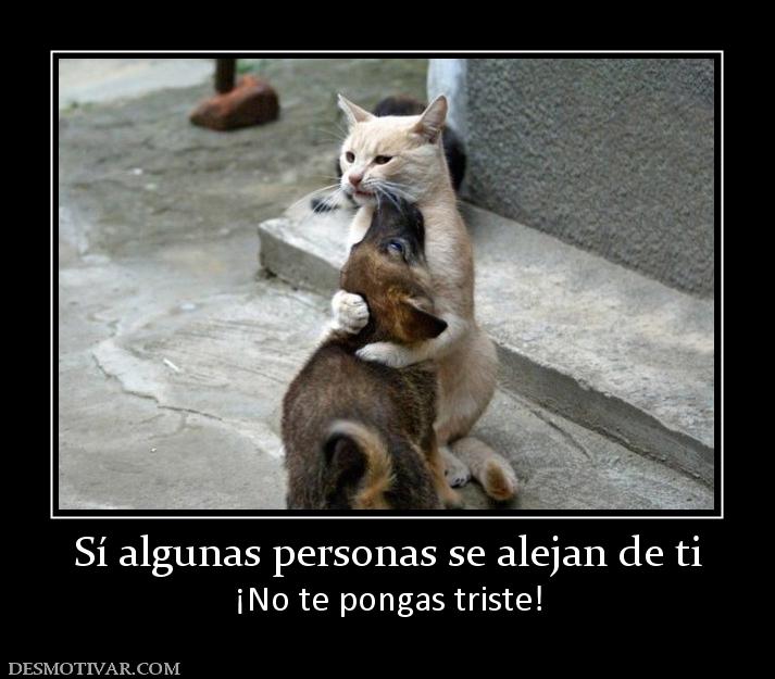 Sí algunas personas se alejan de ti ¡No te pongas triste!