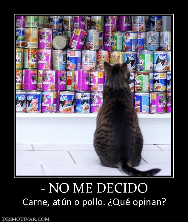 - NO ME DECIDO Carne, atún o pollo. ¿Qué opinan?