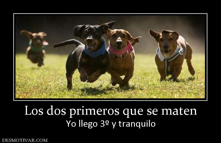 Los dos primeros que se maten Yo llego 3º y tranquilo