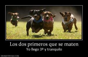 Los dos primeros que se maten Yo llego 3º y tranquilo