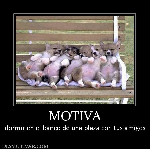 MOTIVA dormir en el banco de una plaza con tus amigos