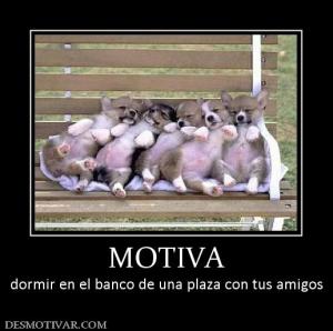 MOTIVA dormir en el banco de una plaza con tus amigos
