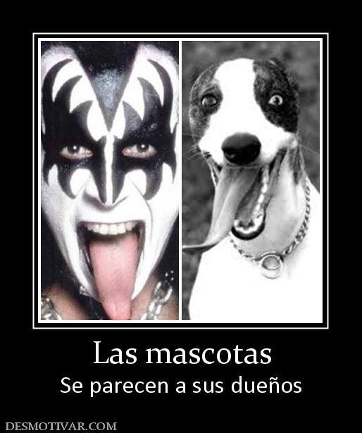 Las mascotas Se parecen a sus dueños