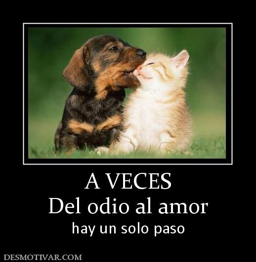 A VECES Del odio al amor  hay un solo paso