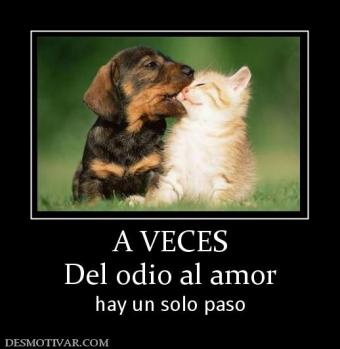 A VECES Del odio al amor  hay un solo paso