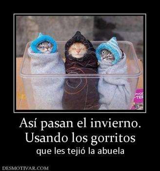 Así pasan el invierno. Usando los gorritos  que les tejió la abuela