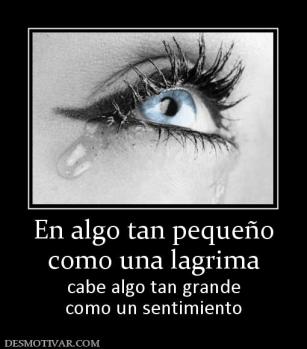 En algo tan pequeño como una lagrima cabe algo tan grande como un sentimiento