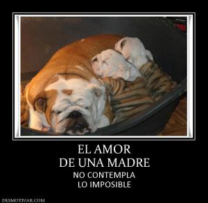 EL AMOR DE UNA MADRE NO CONTEMPLA LO IMPOSIBLE
