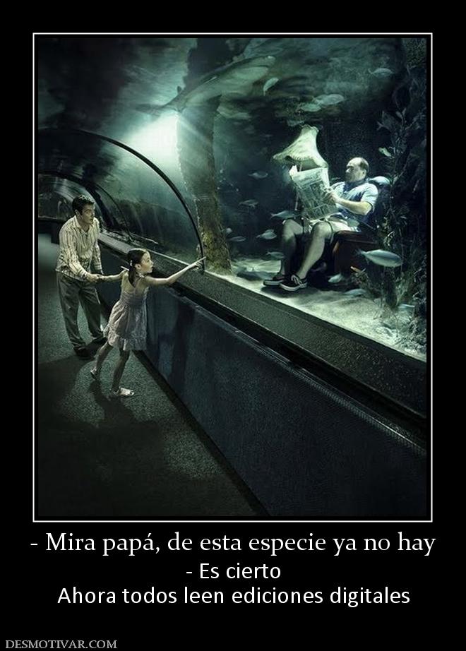 - Mira papá, de esta especie ya no hay - Es cierto Ahora todos leen ediciones digitales