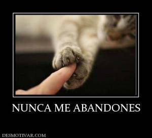 NUNCA ME ABANDONES