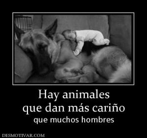 Hay animales que dan más cariño que muchos hombres