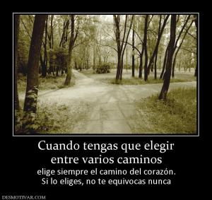 Cuando tengas que elegir entre varios caminos elige siempre el camino del corazón. Si lo eliges, no te equivocas nunca