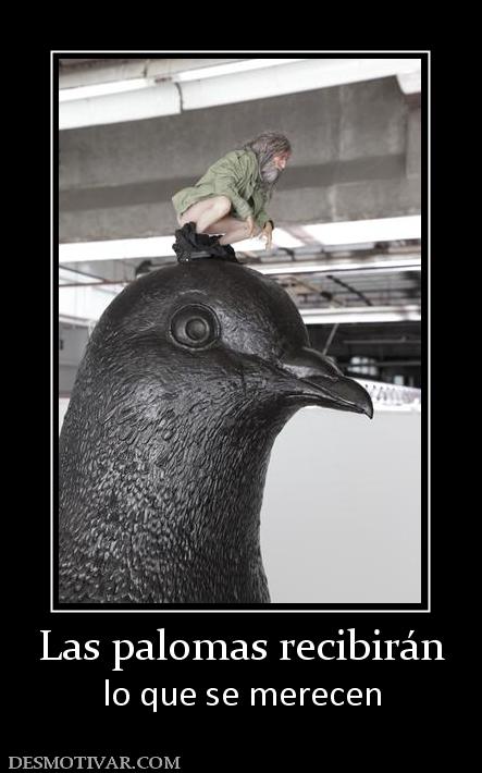 Las palomas recibirán lo que se merecen
