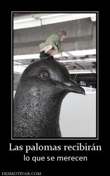Las palomas recibirán lo que se merecen