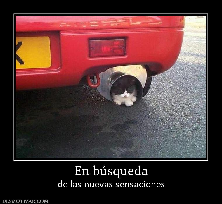 En búsqueda de las nuevas sensaciones