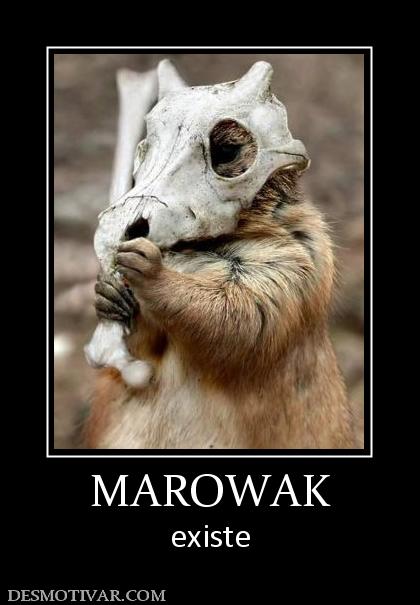 MAROWAK existe