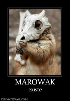 MAROWAK existe