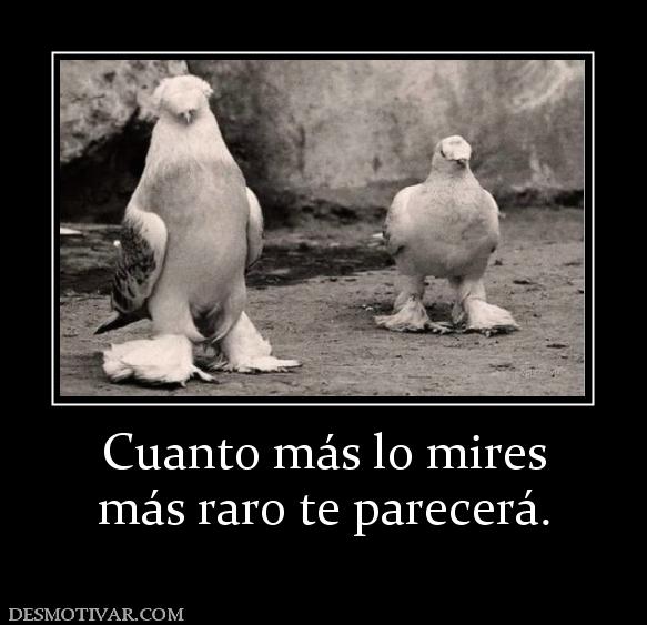 Cuanto más lo mires más raro te parecerá.