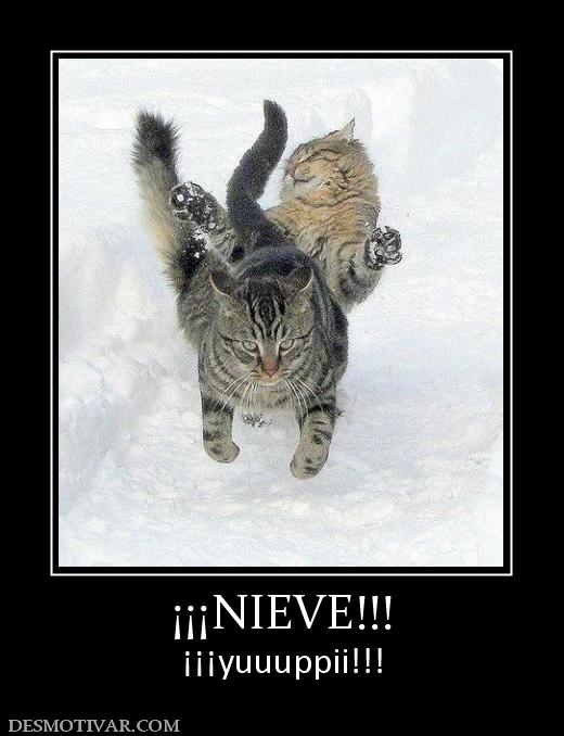 ¡¡¡NIEVE!!! ¡¡¡yuuuppii!!!