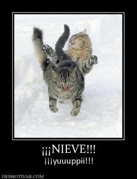 ¡¡¡NIEVE!!! ¡¡¡yuuuppii!!!