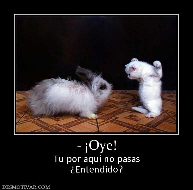 - ¡Oye! Tu por aqui no pasas ¿Entendido?