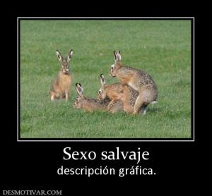 Sexo salvaje descripción gráfica.